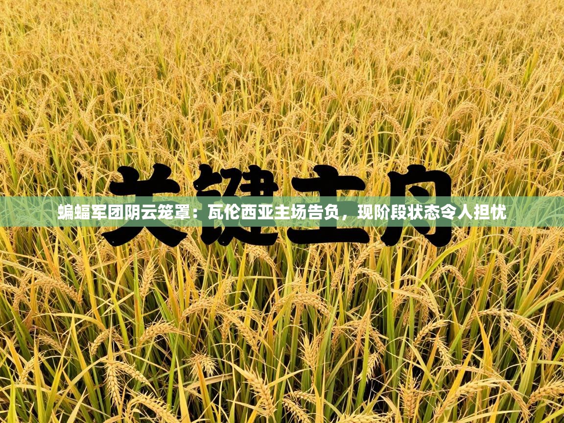 蝙蝠军团阴云笼罩:瓦伦西亚主场告负,现阶段状态令人担忧 第1张