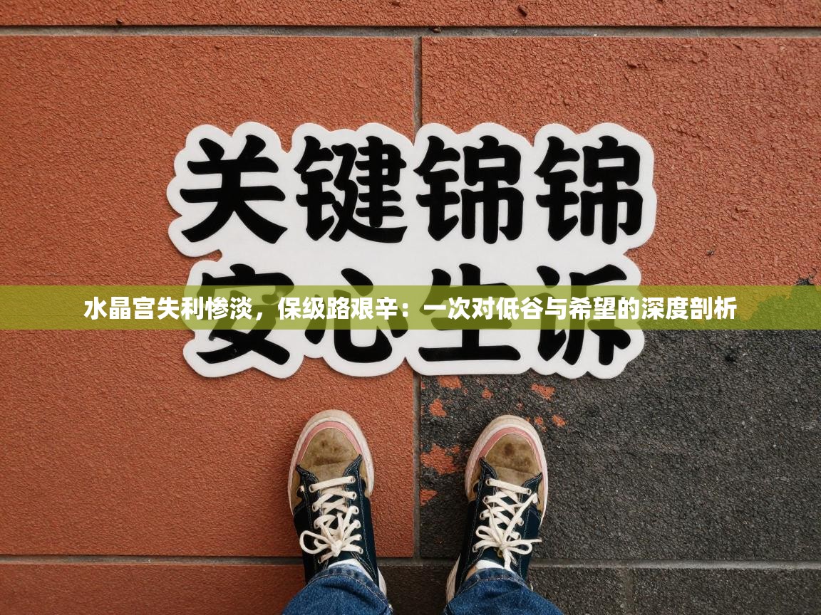 水晶宫失利惨淡,保级路艰辛:一次对低谷与希望的深度剖析 第1张